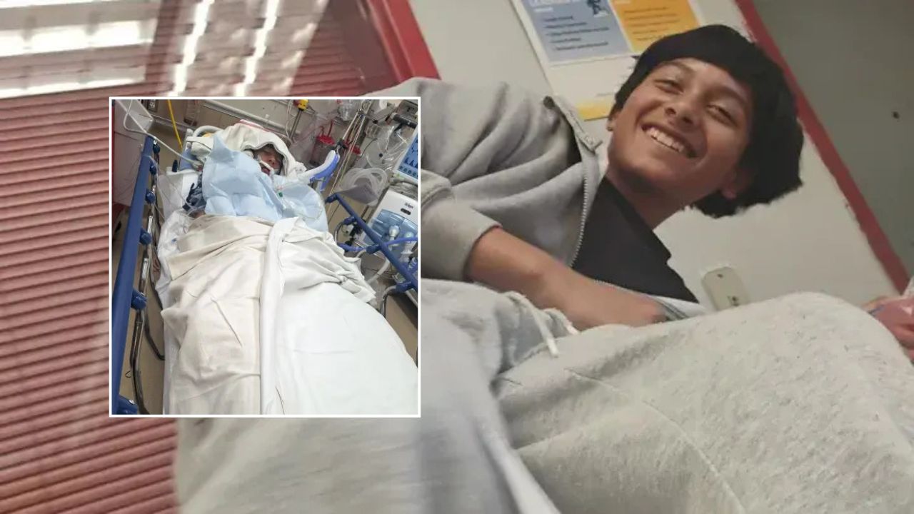 12-Year-Old Boy Dies After Jumping Into California Lake to Escape Three Dogs as Police Search for Their Owner