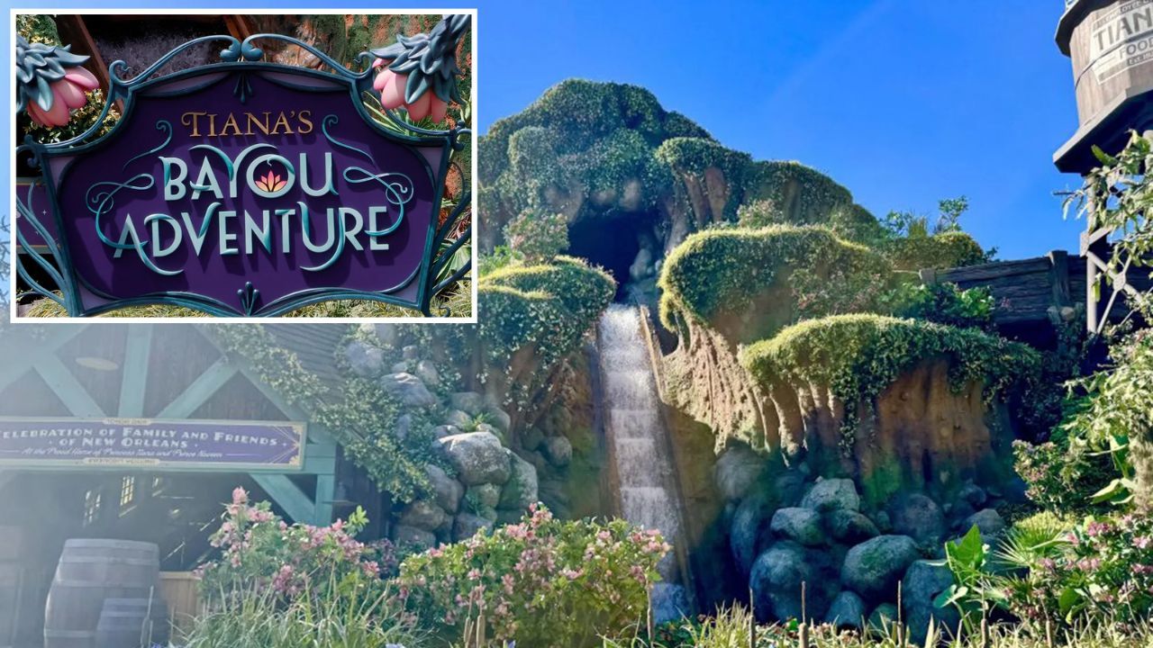 13-Year-Old Reportedly Climbs Out of Disneyland Adventure Ride and Falls Down 50-Foot Drop