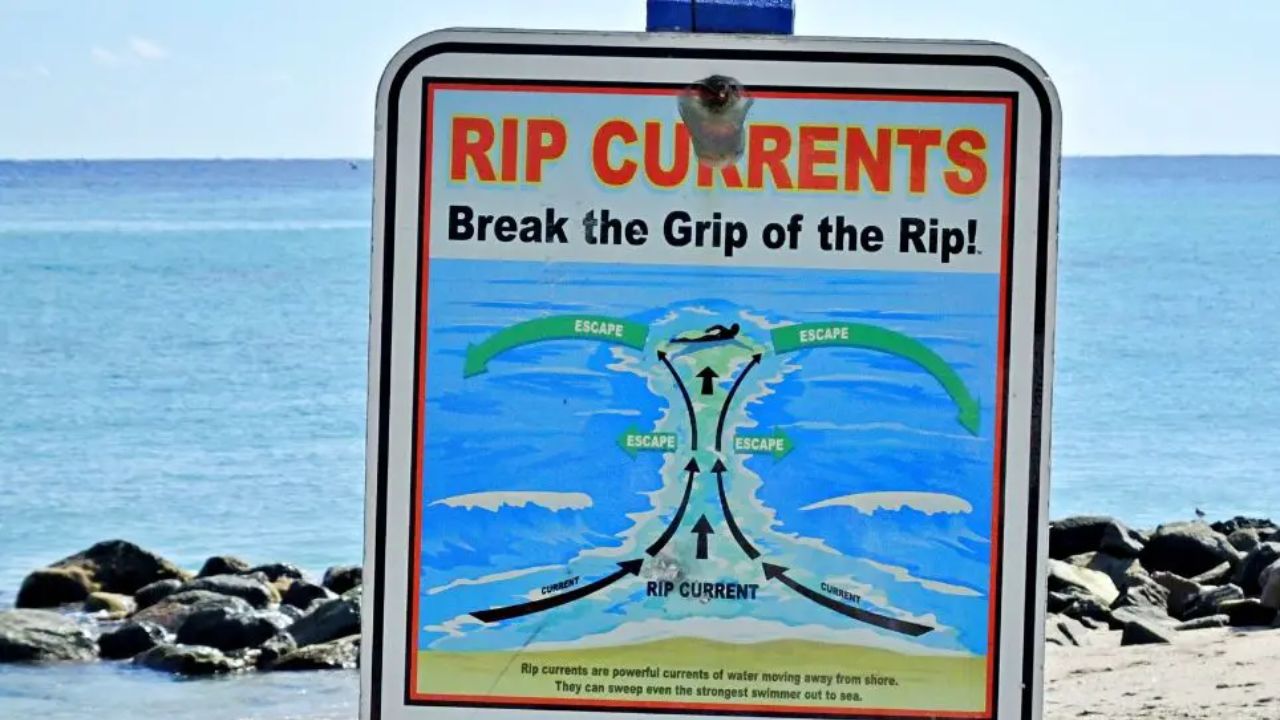 Beach Lifeguards Say This One Simple Move Could Save Your Life If You're Caught in a Rip Current