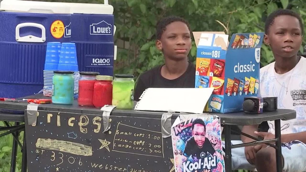 Complaint Backfires as Police Buy Out Entire Lemonade Stand Run by Two Young Brothers