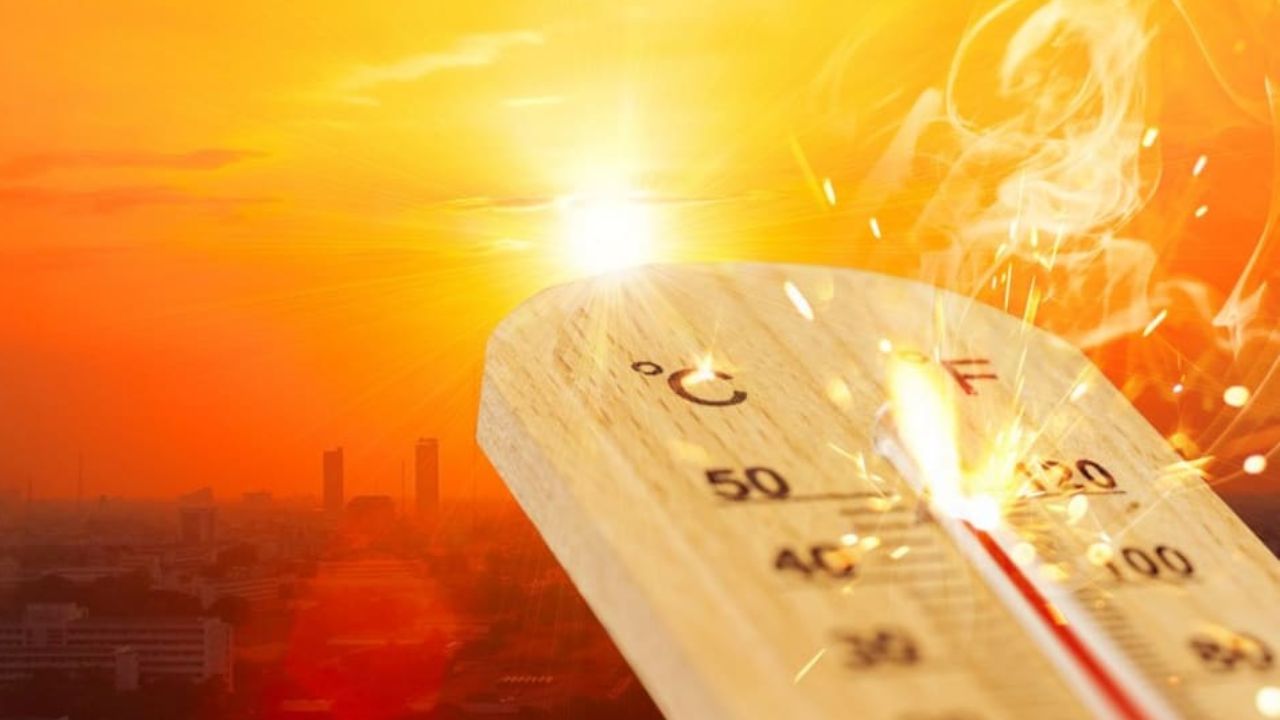 Heat Advisory Issued for Seattle Area as Temperatures Climb 20 Degrees Above Normal