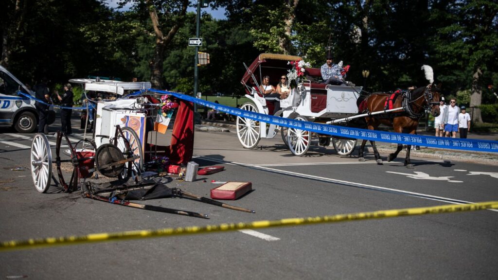 Horse Bolts Through Central Park, Throwing Passengers From Carriage and Killing 18-Year-Old