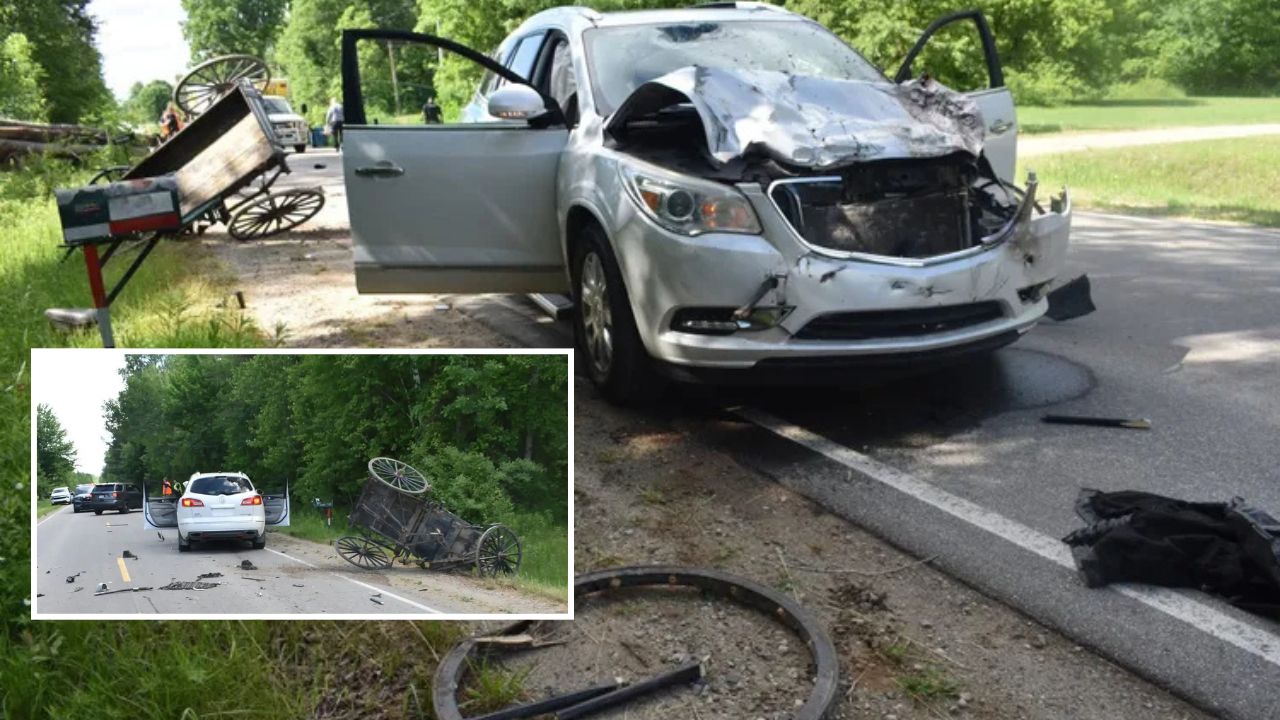 Horse Killed, 11-Year-Old Amish Boy Seriously Injured After SUV Slams Into Buggy in Michigan