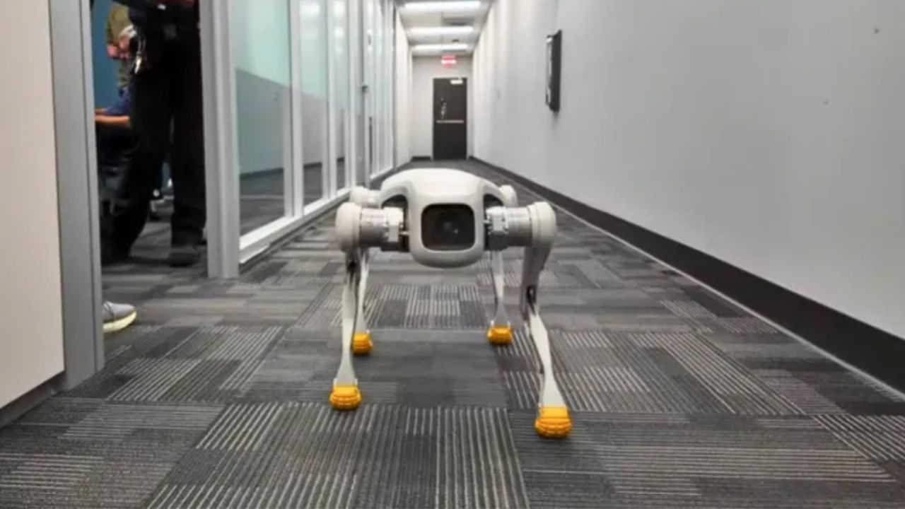 Southern California Fire Department Unveils Robot Dog That Could Transform Rescue Missions