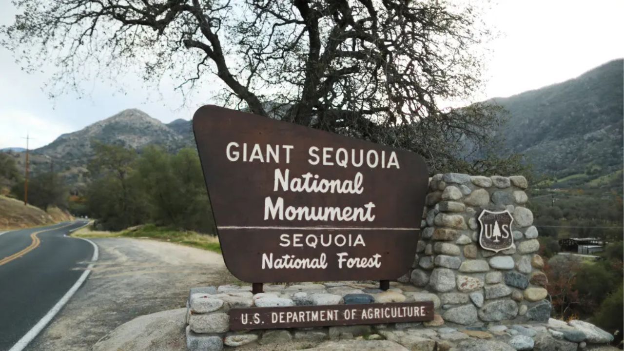 Teen Who Dreamed of Becoming a Nurse Dies During First Visit to Sequoia National Park