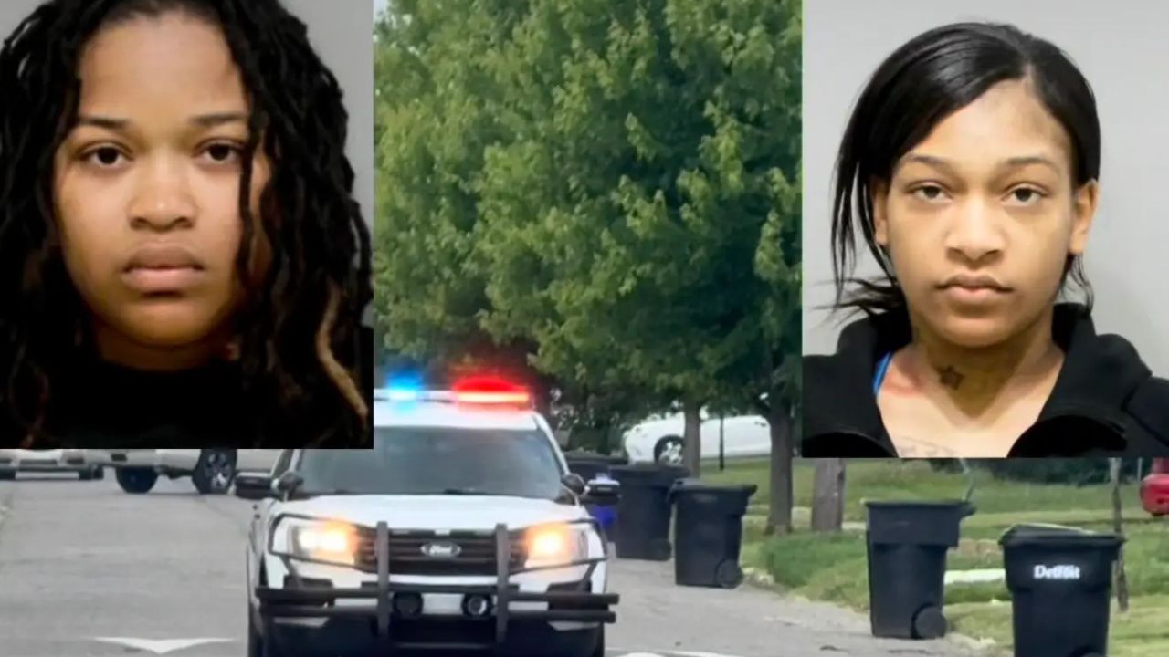 Wrong Order Sparks Chaos Michigan Sisters Charged After Restaurant Employee Stabbed