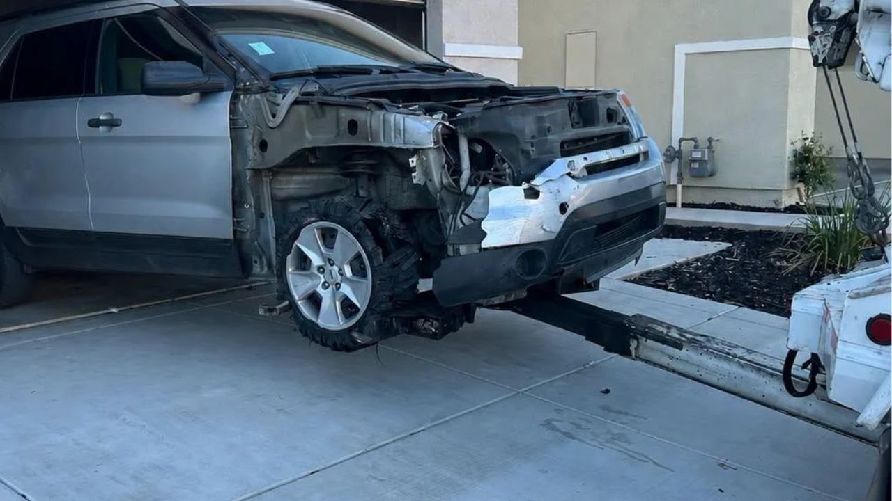 California Authorities Arrest Driver Accused of Fleeing Crash That Killed Bicyclist Pulling Trailer With 2 Dogs