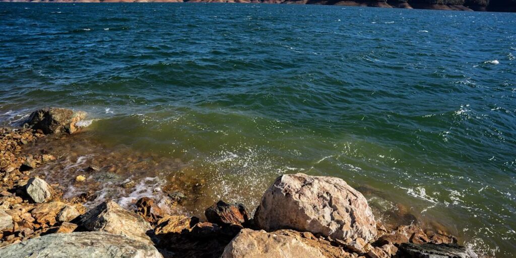 California Man, 47, Identified as Fourth Person to Drown at Lake Shasta Since June, Sheriff's Office Says