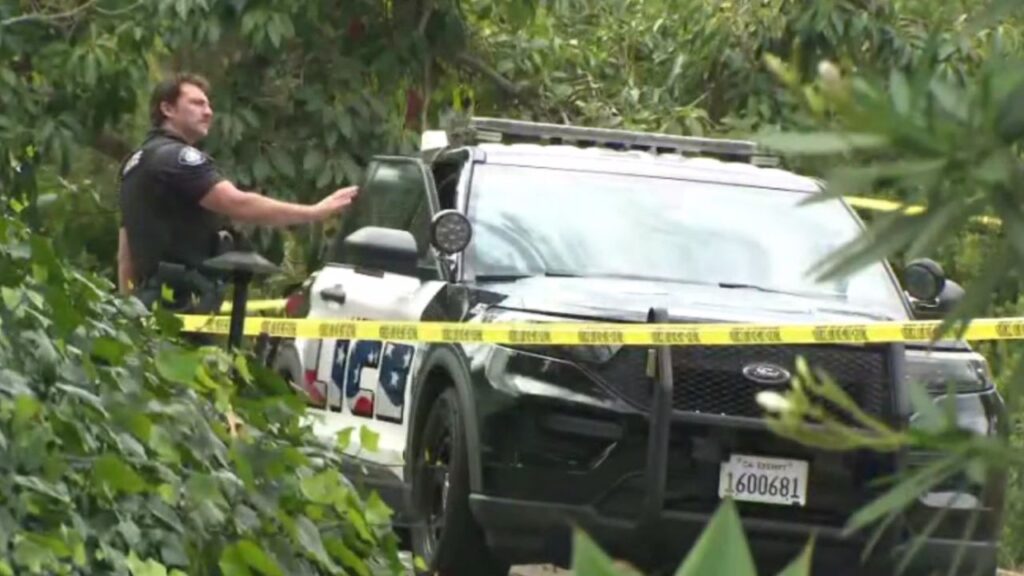 California Man Allegedly Beats Mother to Death With Hammer Days After She Flew In to Visit Him, DA Says