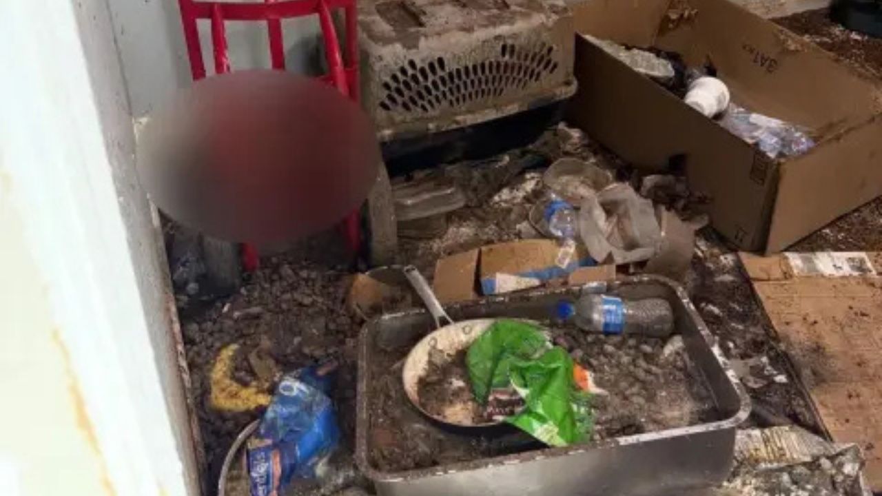 California Man Arrested After Police Make Stomach-Churning Discovery Inside Home Filled With Dead Cats