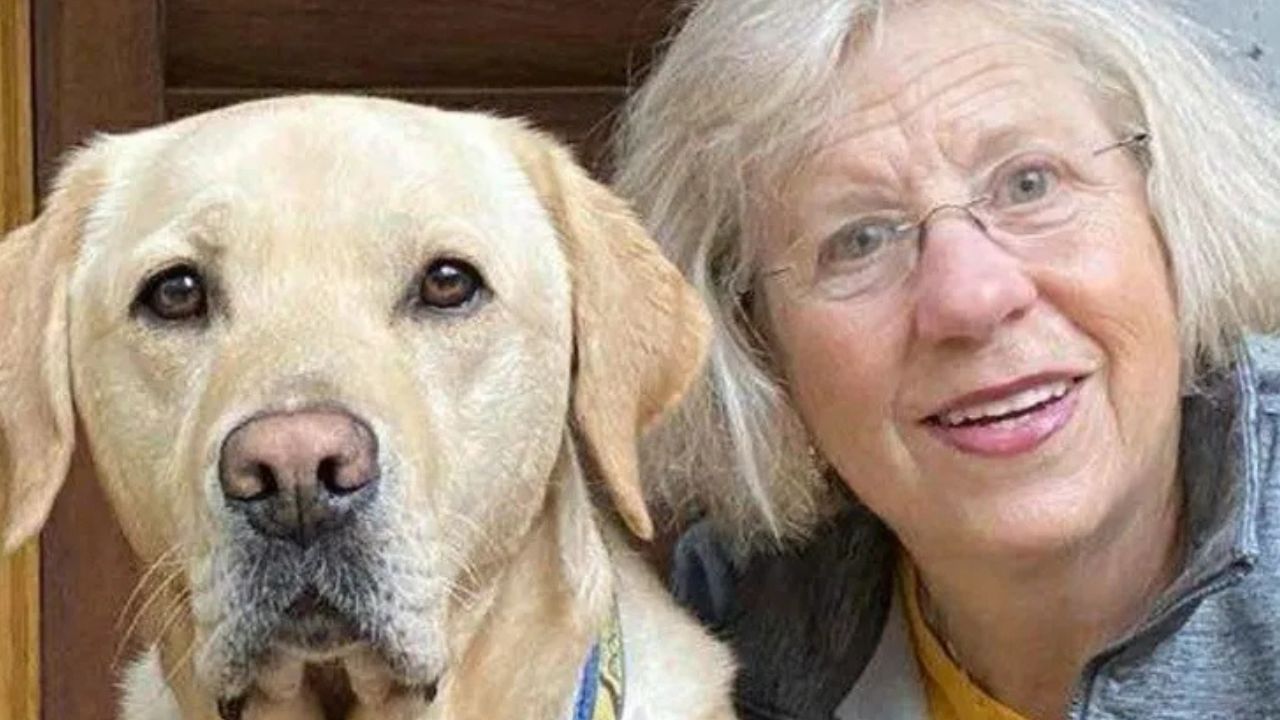 Deaf California Woman Loses 3 Dogs Including Her Lifeline Service Dog After Truck Strikes Them on Walk