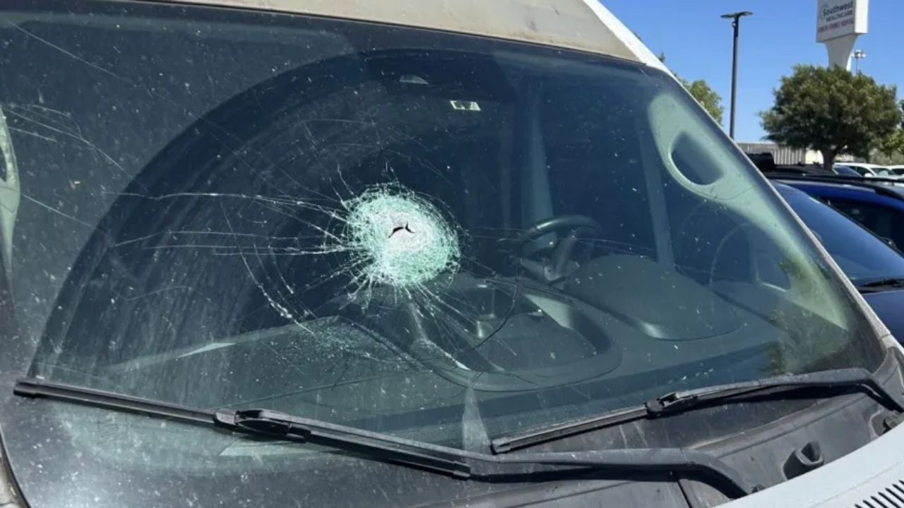 Flying Metal Bar Crashes Through Windshield, Hits Pregnant Woman, but She and Her Unborn Twins Survive