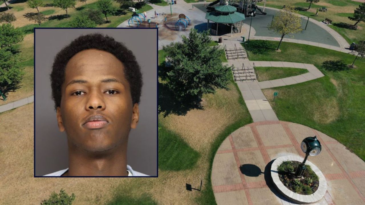 Man Searching for His Sister Ends Up Shooting Teen in Park, Pleads Guilty to First-Degree Assault