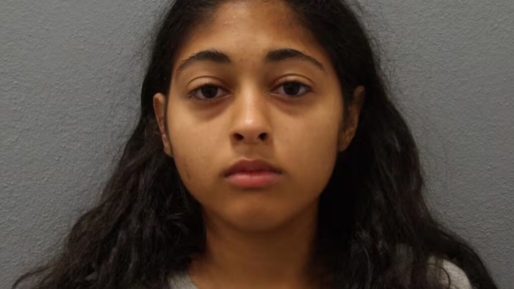 Miami-Dade Woman Arrested After Dog Found Trapped in 100-Degree SUV in Key Largo