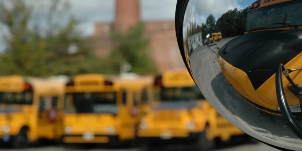 Pennsylvania School Bus Driver Says She Was Fired After Stopping to Rescue 8 Orphaned Baby Opossums From Busy Road