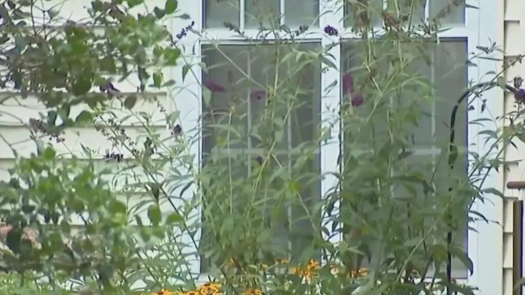Pennsylvania Woman Arrested After Allegedly Breaking Into Ex-Boyfriend’s Home With Wine and Dessert