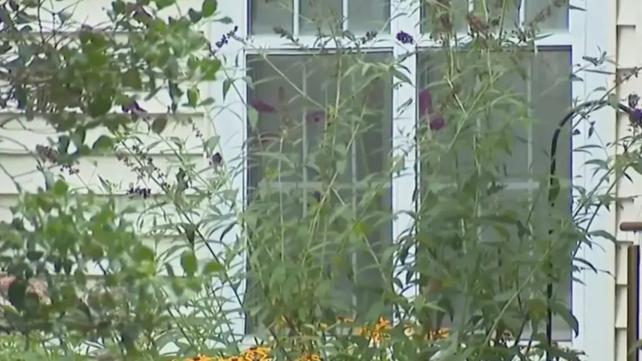 Pennsylvania Woman Arrested After Allegedly Breaking Into Ex-Boyfriend’s Home With Wine and Dessert