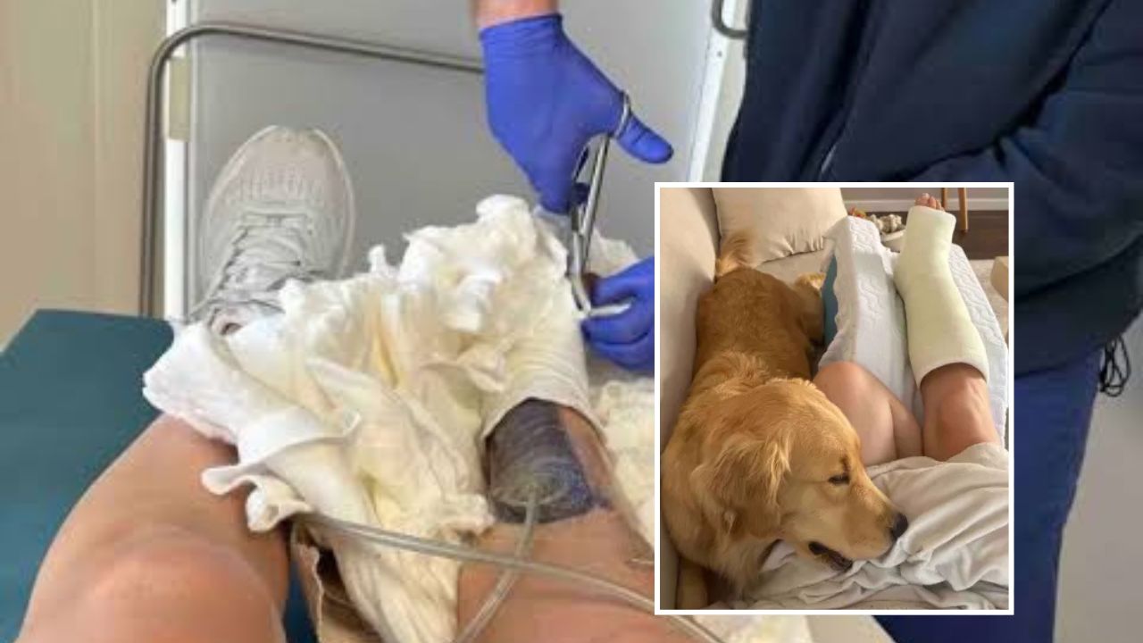 San Diego Woman Shot While Driving Home From Mexico Beach Trip Says Her Loyal Dog Refused to Leave Her Side