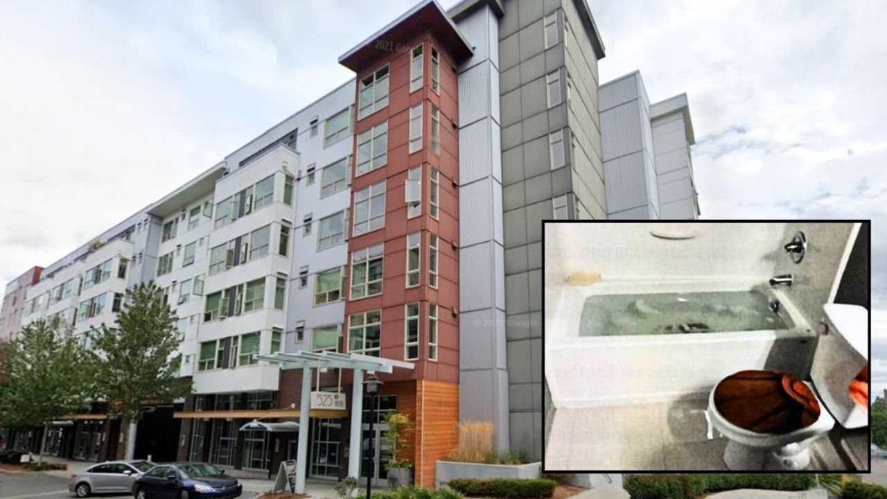 Seattle Mom Was on Phone With Banned Contact While Disabled Toddler Drowned Alone in Tub, Prosecutors Say
