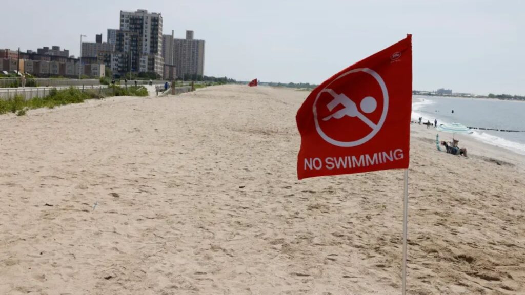 Shark Scare at NYC Beach Bull Sharks Force Rockaway Closure During Fourth of July Heatwave