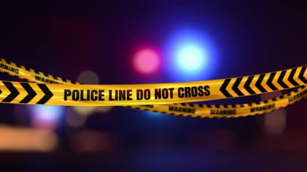 She grabbed the wheel and sped off during a traffic stop — with a 5-year-old in the backseat