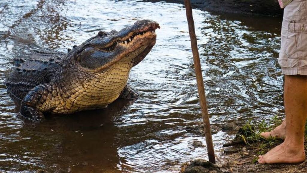 Struck by Lightning After Alligator Attack Mississippi Man Shares Incredible Survival Story