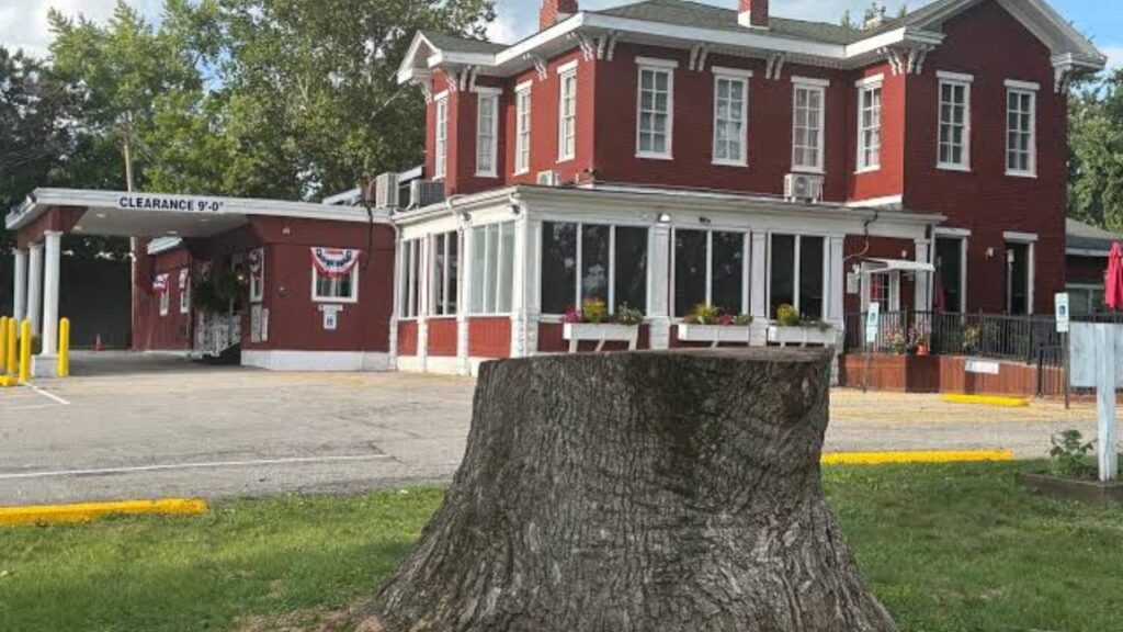 200-Year-Old Cucumber Magnolia Tree Removed Outside Springfield Restaurant After Storm Damage