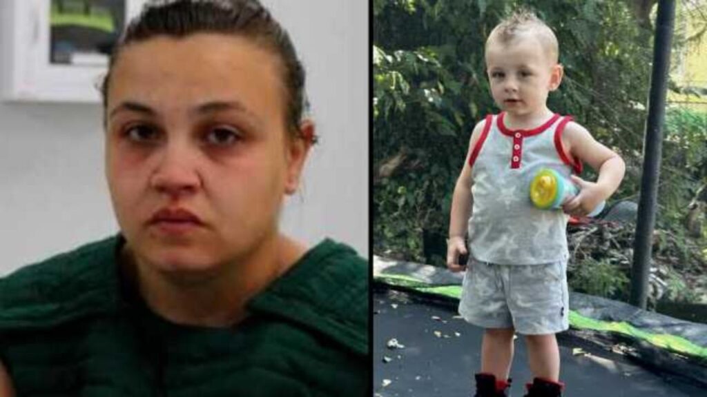 A 2-year-old is dead. His caretaker's search history told investigators everything they needed to know
