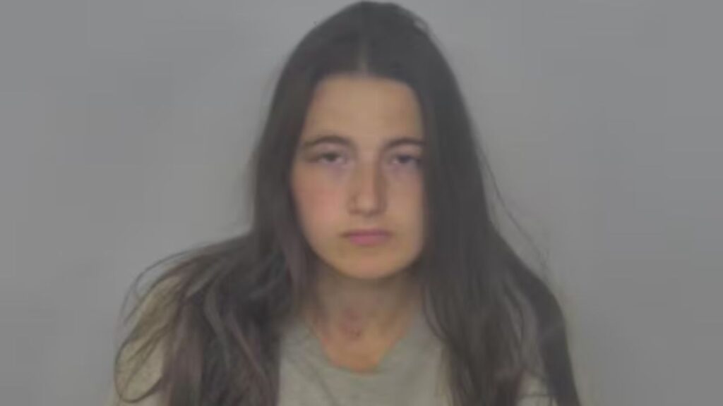 A mother slit her children's throats while their father watched helplessly — and the warning signs were there all along