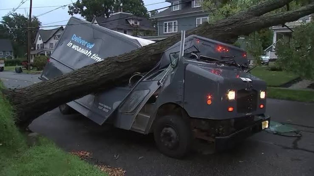 A tree came down in seconds — what happened to the worker trapped inside the Amazon truck shocked the whole street