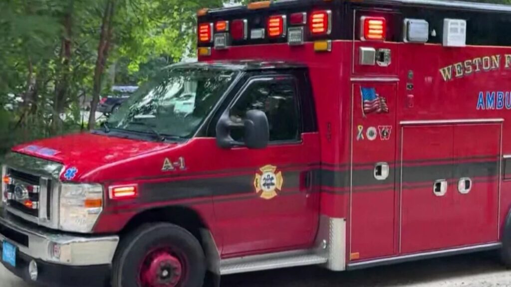 Boy Critically Injured After Tree Branch Falls at Wayland, Massachusetts Summer Camp