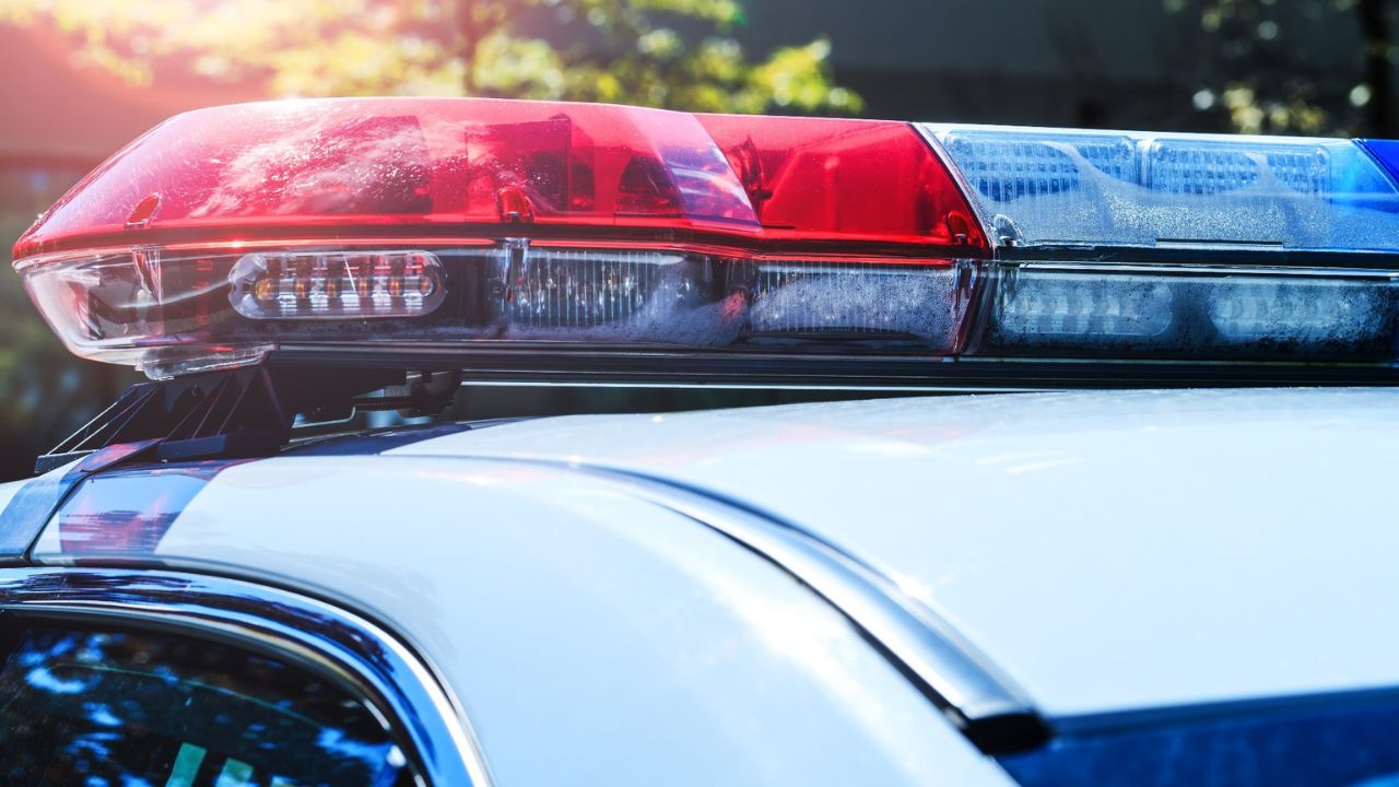 Dozens of animals found suffering in an Elwood home — and the woman responsible is still out there