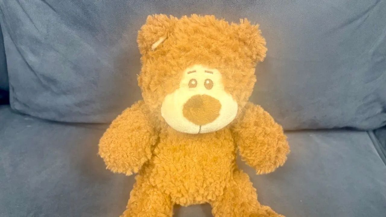 Florida man stole a teddy bear holding his ex's dead son's ashes after she ended their weeks-long relationship