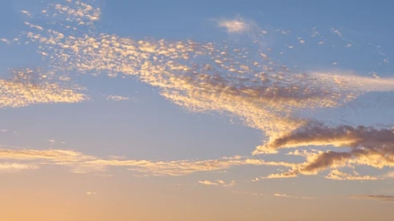 Houston Is About to Get a Lot Hotter — Here Is What the Rest of the Week Looks Like