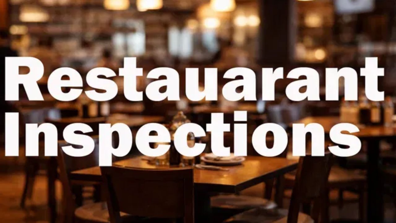 Palm Beach County Bar Shut Down for 4th Time in 2026 After Inspectors Find Roaches, Rodent Droppings Near Clean Dishes