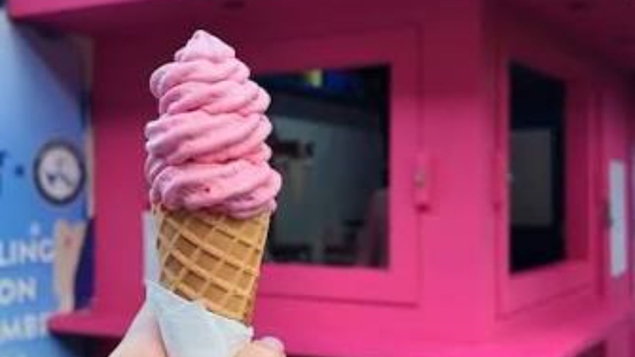 Whatcom County just lost two beloved spots — but four new ones quietly opened last month