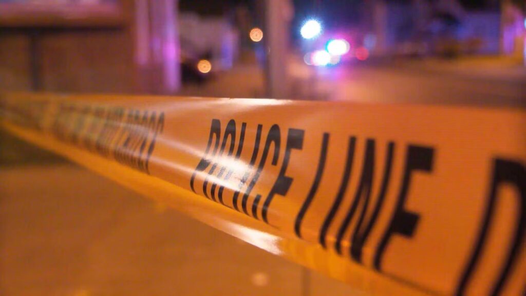 Woman Killed in Park Hill Hit-and-Run Identified by Coroner's Office
